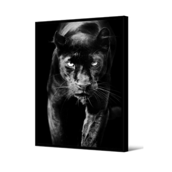 Cadre Panthere Noire Blue Cargo Cadre Panthere Noire Blue Cargo